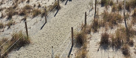A sandy beach with a fence and a sign that reads "TAY OFF DUNES."