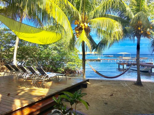 DOLPHIN VISTA.  2bd 2bth unit  5 feet from the water!  Dolphin shows all day!