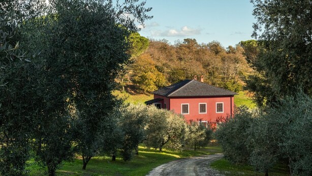 Une maison rouge avec une allée de gravier, entourée d’oliviers.