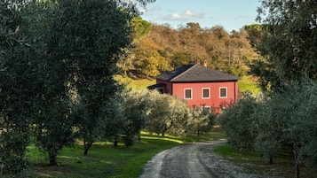 Esterni