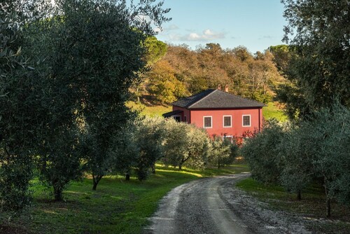 Enveloping natural atmosphere, enjoy it with your loved ones.