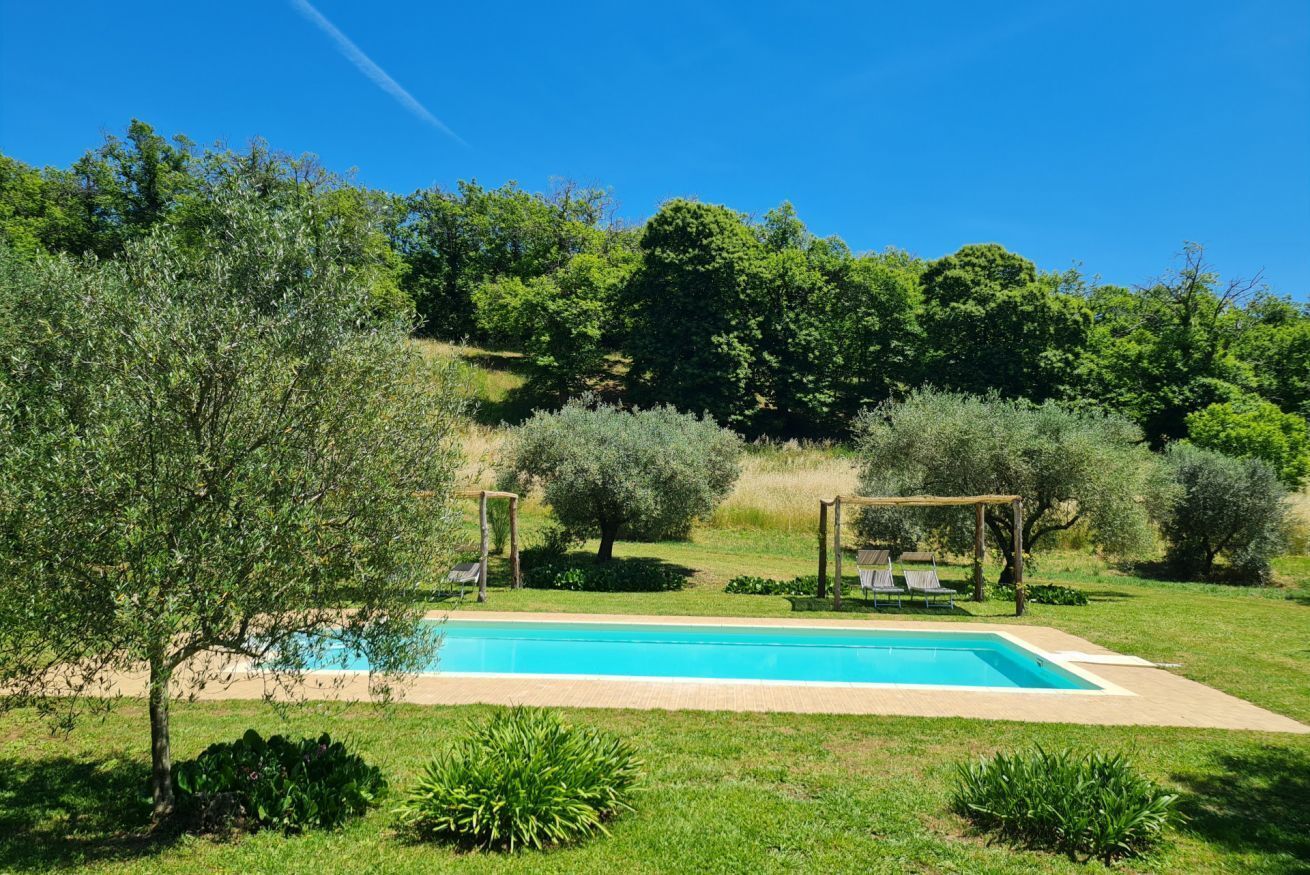 A rectangular swimming pool with a wooden pergola and lounge chairs in a lush garden setting.