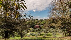 Une maison rouge, entourée d’un jardin luxuriant agrémenté d’arbres et d’une petite piscine.