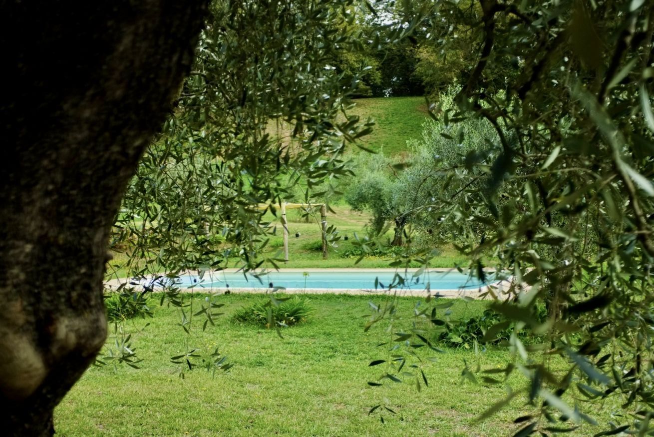 En vy över en swimmingpool omgiven av frodig grönska och en stenmur.