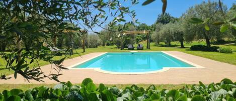 A rectangular swimming pool with a wooden pergola and lounge chairs in the background.