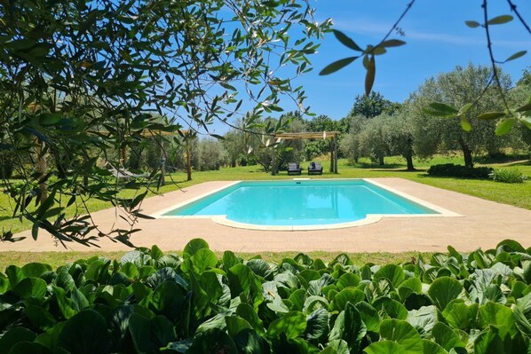 A rectangular swimming pool with a wooden pergola and lounge chairs in the background.