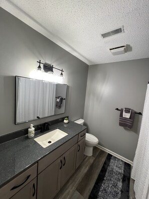 Hiustenkuivaaja, pyyhkeet, saippua, sampoo