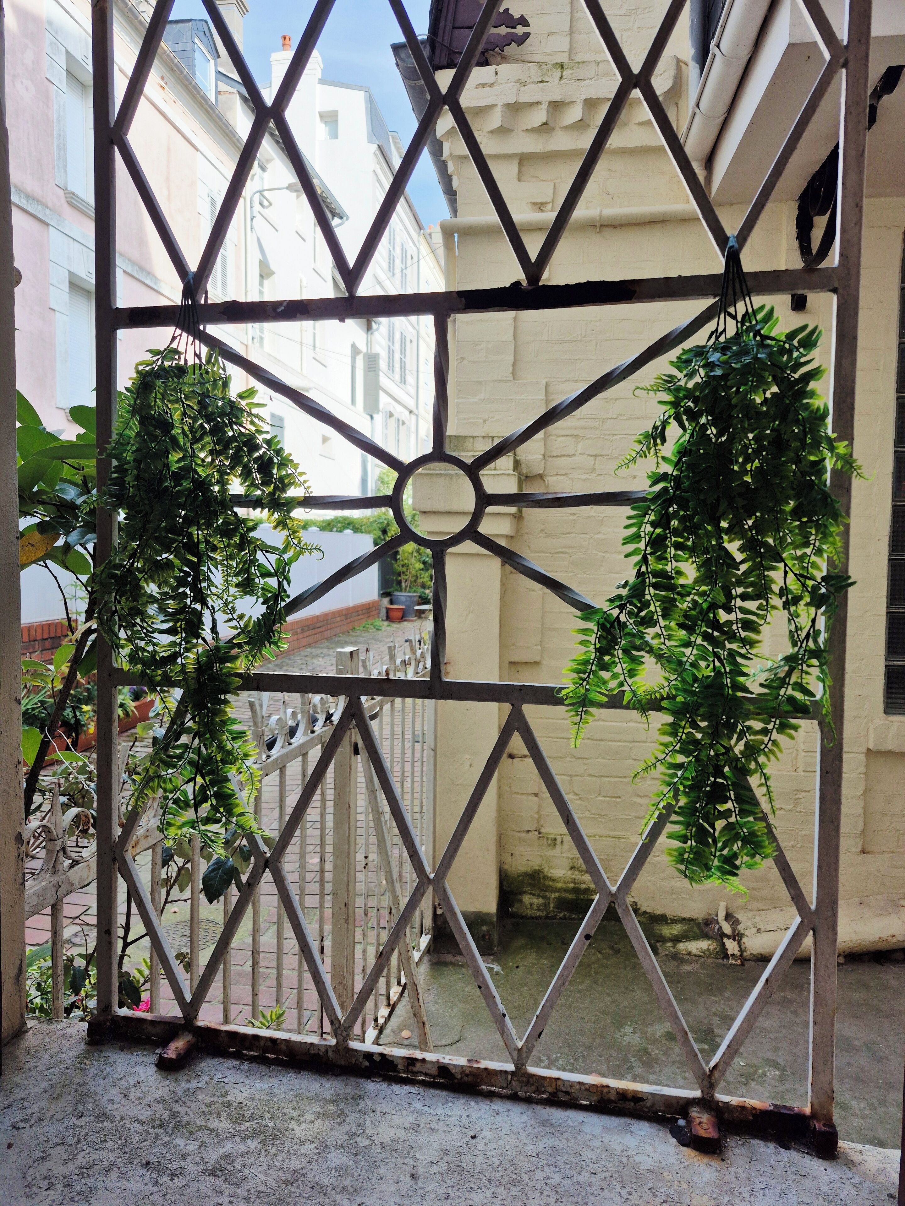 A metal gate with a geometric pattern, through which two hanging plants are visible.