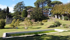 Ein angelegter Garten mit Teich, Steinmauer und Bäumen.