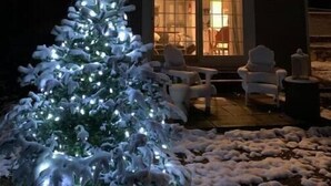 Una casa con un jardín nevado y un árbol de Navidad iluminado.