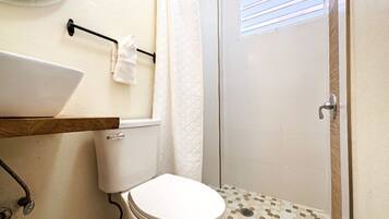 Shower, hair dryer