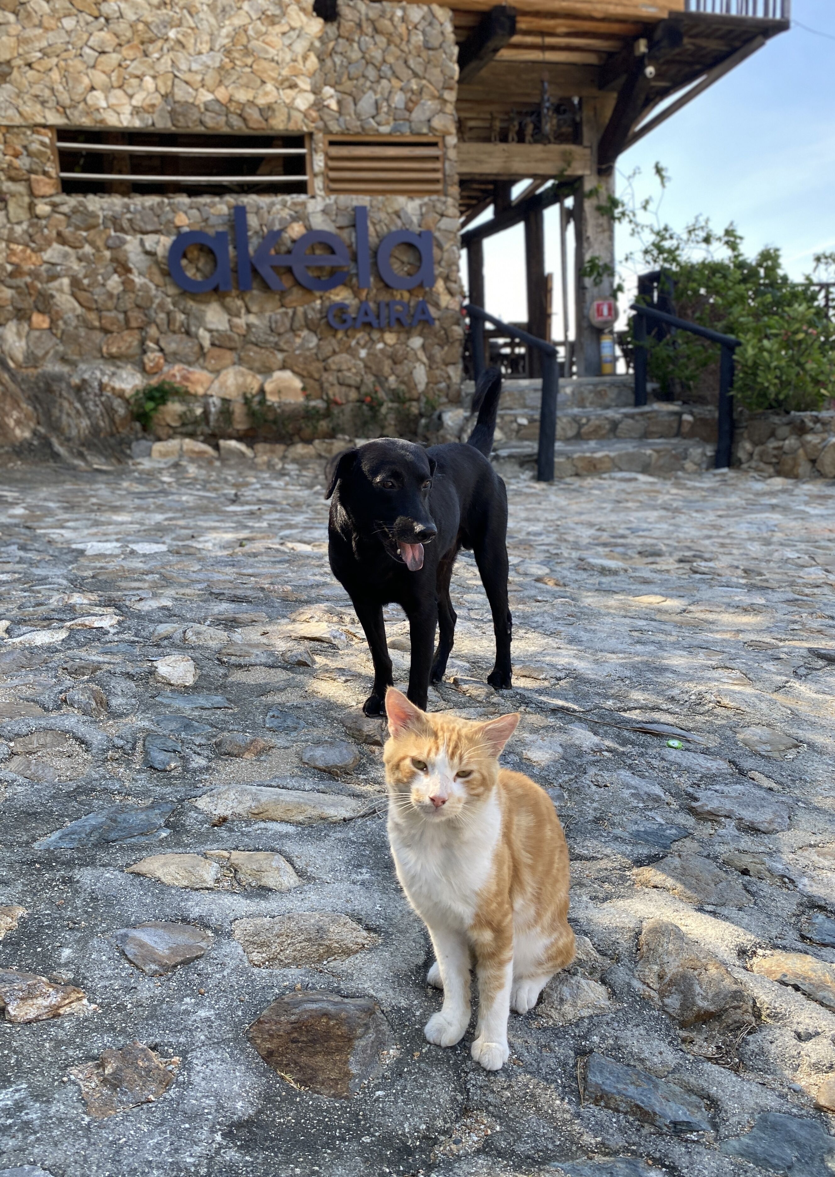 Photo - Akela Gaira Hotel