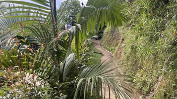 Overnatningsstedets område