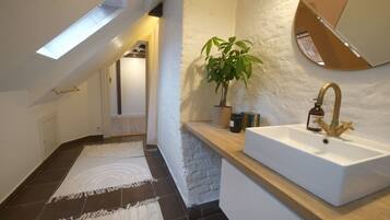 Bathroom features a skylight above the shower, a white sink, and a potted plant.
