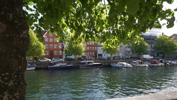 A canal with boats docked, surrounded by red and white buildings, and a tree in the foreground.