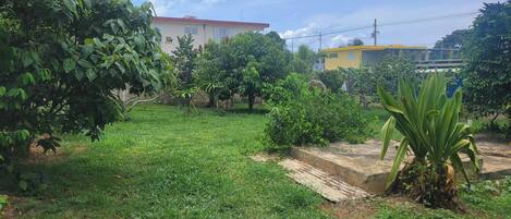 Une zone herbeuse avec des arbres et un bâtiment en arrière-plan.