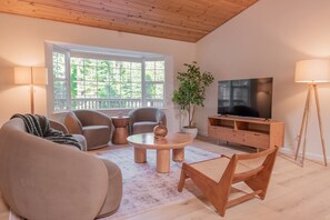 TV connectée, cheminée, livres