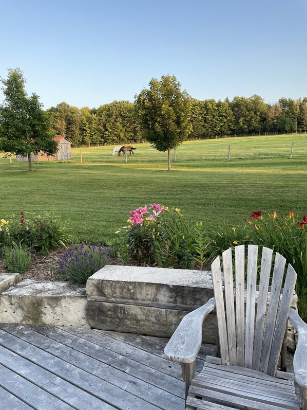 Property grounds - 16 acre pet friendly one bedroom apartment on hobby horse farm. (Meaford)