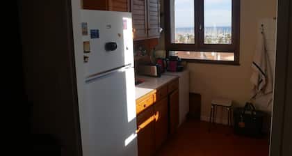 Maison Avec Jardin et Terrasse Proximité Immédiate Centre Ville, Plage