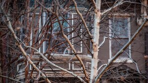 A building with multiple windows, a tree in the foreground, and a potted plant on the steps. - Sojourn in DuPont Circle: Modern Meets Historic (Washington)