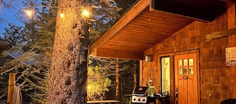 🌲🌲Twin Tree Cabin in Magical Port Renfrew