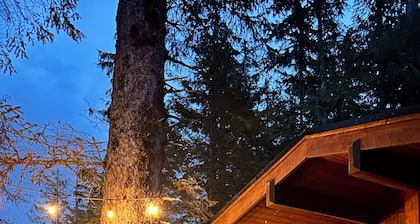 🌲🌲Twin Tree Cabin in Magical Port Renfrew