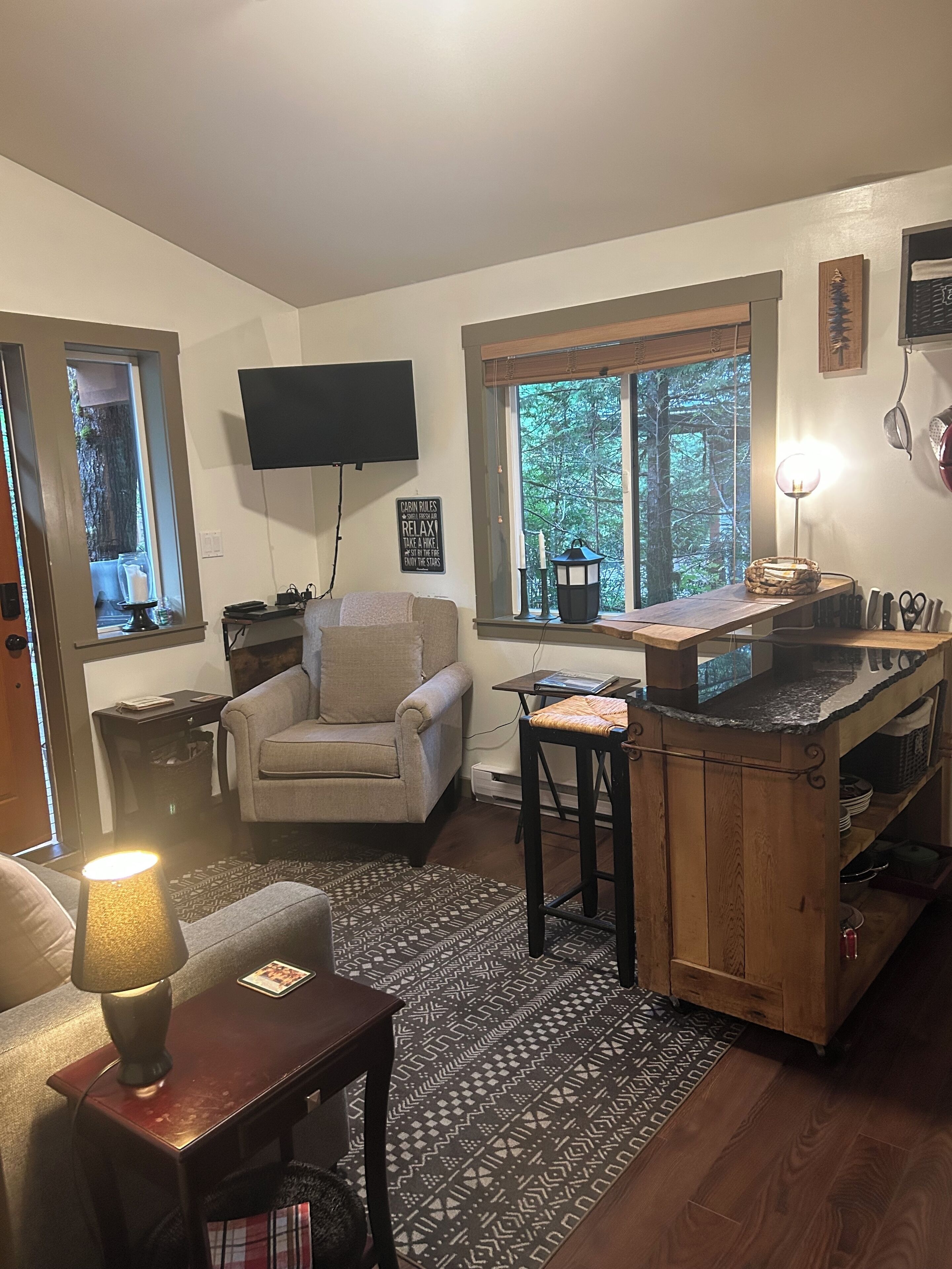 Smart TV, fireplace, DVD player, books