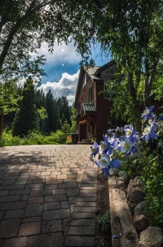 The Kebler Home: Walk to Elk Ave! Dog Friendly!