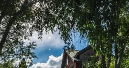 The Kebler Home: Walk to Elk Ave! Dog Friendly!