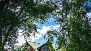 A two-story wooden house with a green roof, a front porch, and a paved driveway. - The Kebler Home: Walk to Elk Ave! Dog Friendly! (Crested Butte)