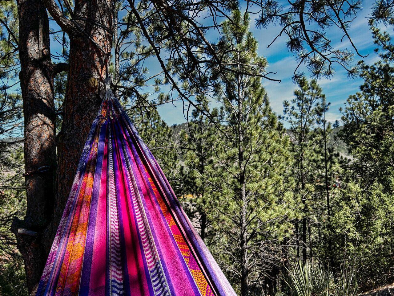Una hamaca colgando entre árboles en un bosque.