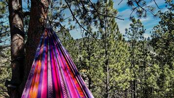 Una hamaca colgando entre árboles en un bosque.