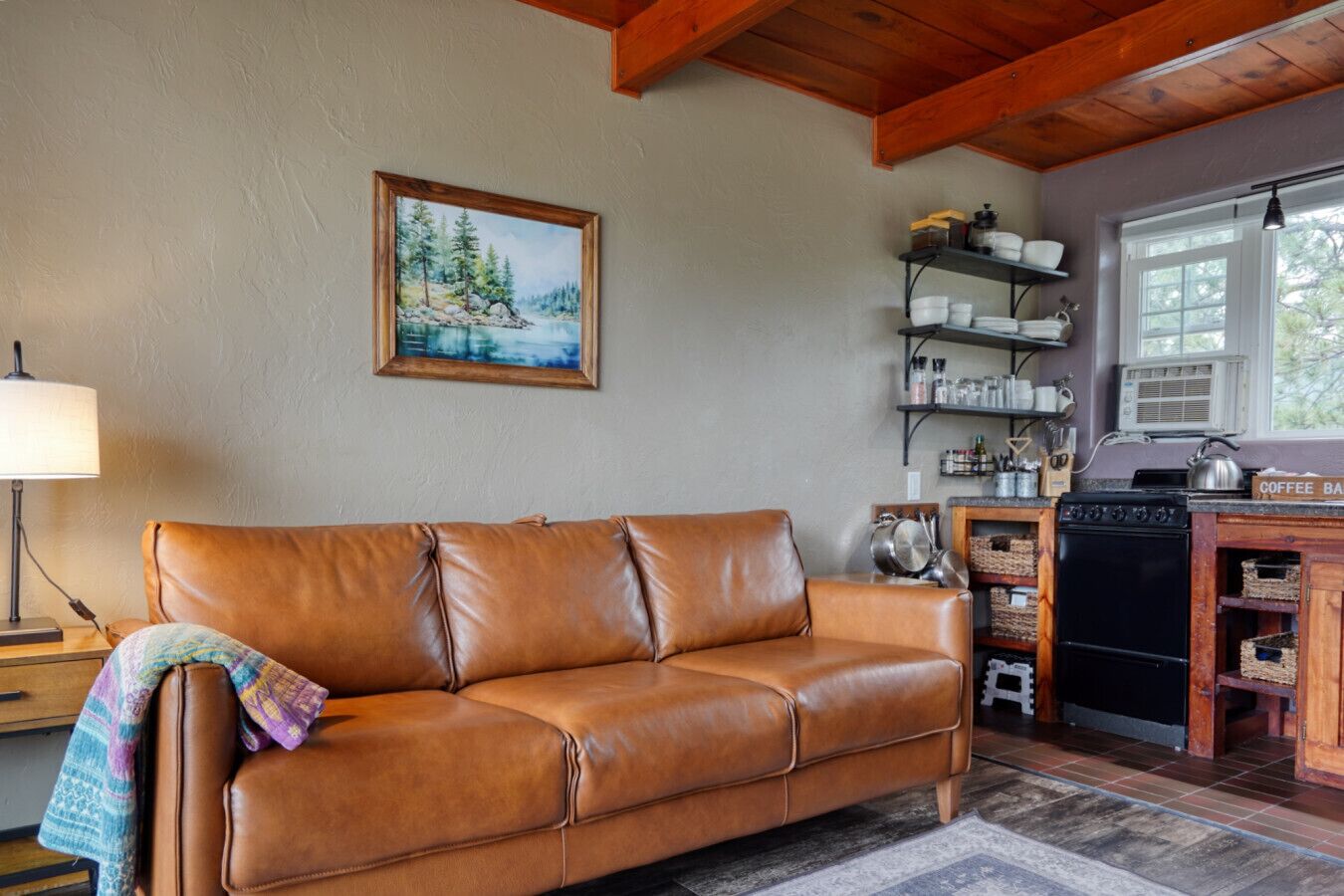 Smart TV, fireplace, books, stereo