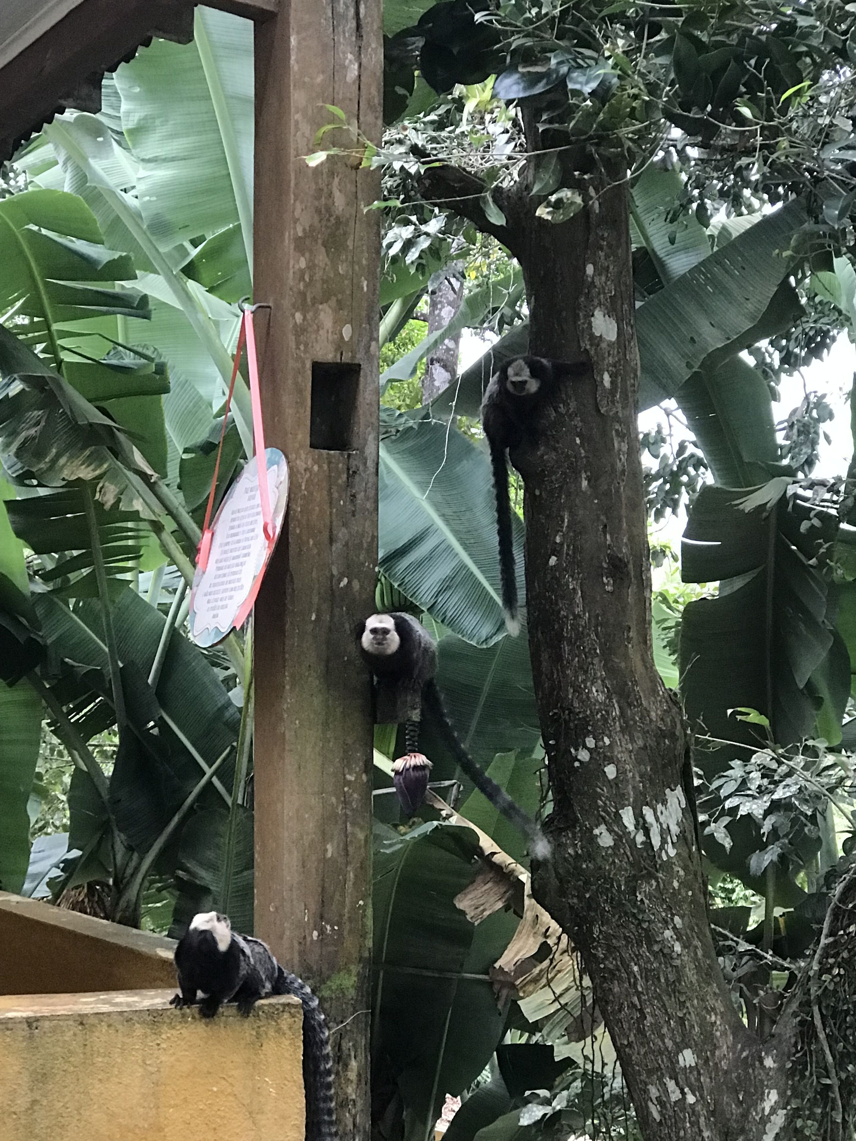 Foto - Pousada Alto da Praia