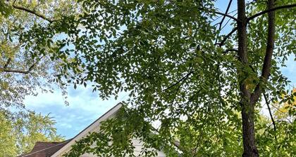 1880s Beauty! Family Fun. Walk to Downtown Green Lake, Heidel House & Golf!