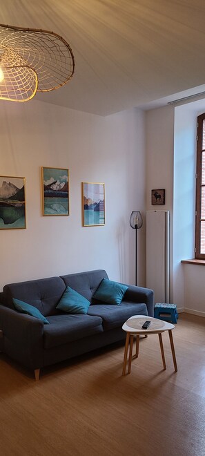 Smart TV, books - Cosy Apartment  37m2 in the heart of Natural Park of Pyrenees (Aulus-les-Bains)
