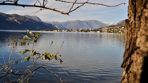 Un llac amb muntanyes al fons i un arbre davant.