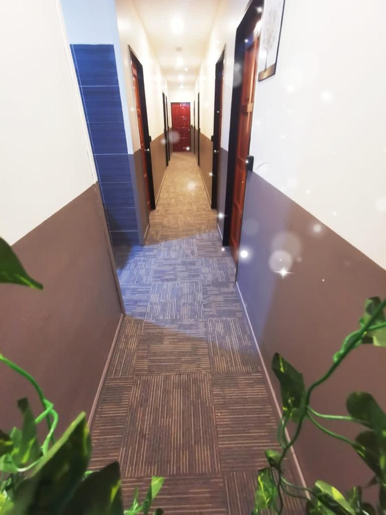 A corridor with a patterned carpet, doors on both sides, and a plant in the foreground.