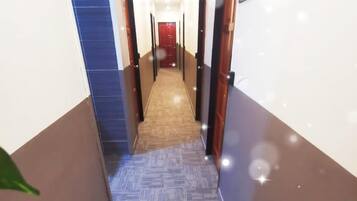A corridor with a patterned carpet, doors on both sides, and a plant in the foreground.