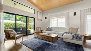Smart-TV, Kamin