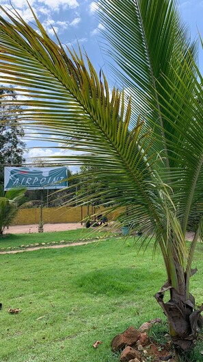 A palm tree in a grassy area with a banner in the background. - Airpoint Pousada Ecológica (Lençóis)
