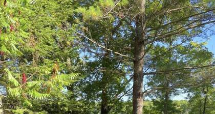 Looncall Lake Retreat