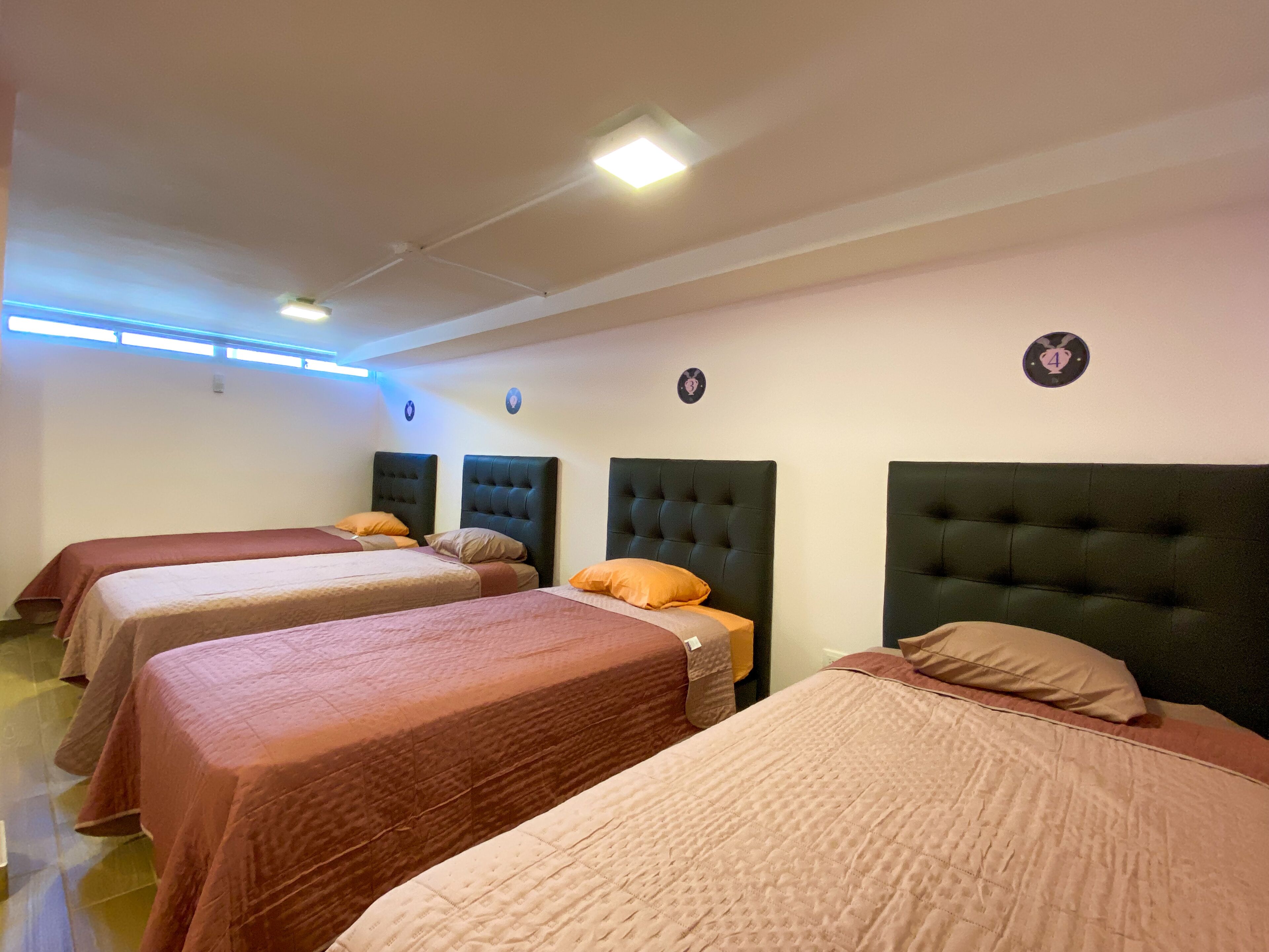 Foto - Casa Pandora Hostel Women Only