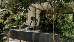A water feature with a pump and a glass enclosure, surrounded by trees. - Casa Coba Plunge Pool Beach Club Aldea Zama (Tulum)