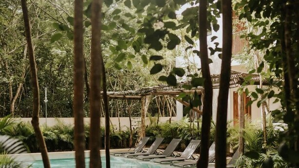 A pool with lounge chairs, surrounded by trees and greenery. - Casa Coba Plunge Pool Beach Club Aldea Zama (Tulum)