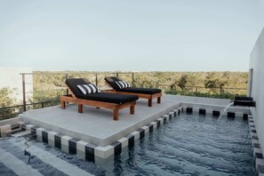 A rooftop pool with two lounge chairs and a clear view of the surrounding landscape.