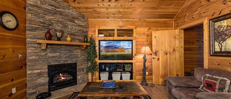 Télévision, cheminée, jeux vidéo, lecteur de DVD