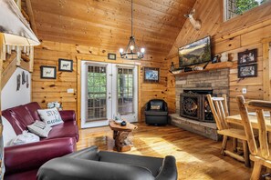 Televisión, chimenea, reproductor de DVD