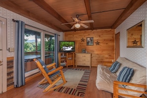 TV, fireplace, DVD player