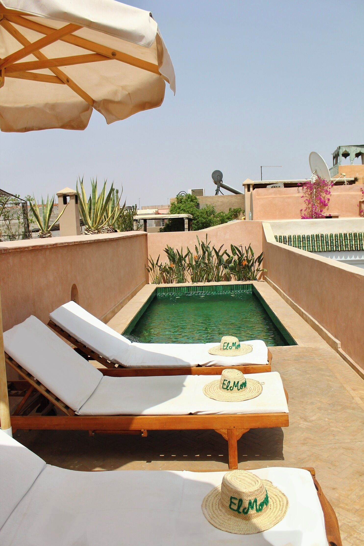 室外游泳池，日光浴躺椅